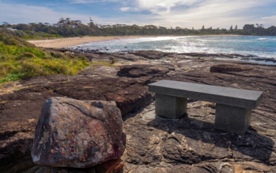 2025.6 Community Led Project (CLP) Seating to Gannet Beach (South)